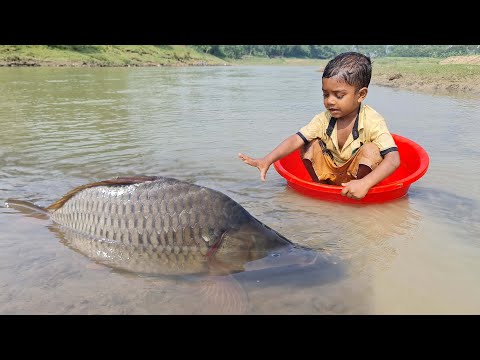 Amazing Traditional Boy Fish Catching By Hand in Water | Amazing Hand Fishing Video #Fish