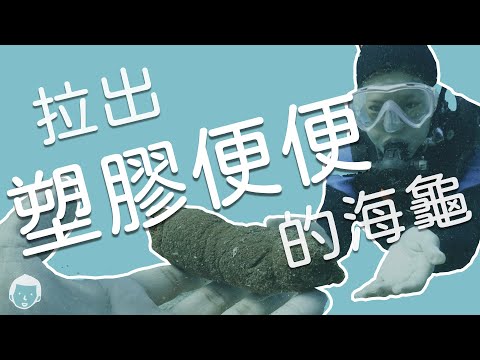 拉出塑膠便便的海龜｜海龜痴漢 - YouTube(7分28秒)