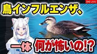 【獣医が解説】ラッコが鳥インフルにかかる!? 鳥インフルエンザの話【北国ここなの動物研究室】