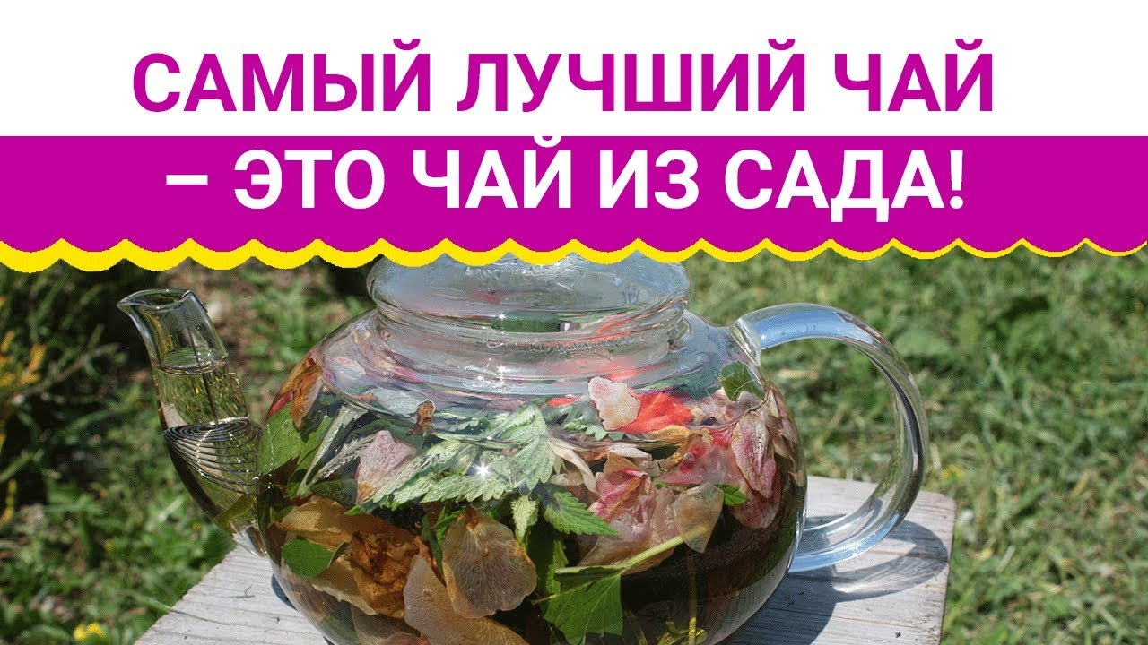 Самый лучший чай это чай из сада!