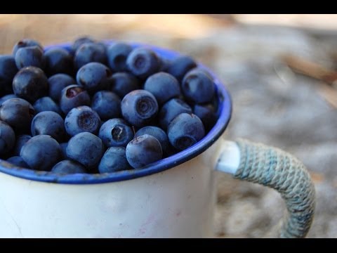 Local Food Trip - FINLAND