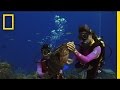 Ocean Conservation and Sustainability Practices