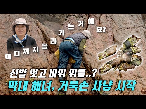 순식간에 한 바구니?! 더덕부터 거북손까지!! 산과 바다를 넘나드는 막내 해녀