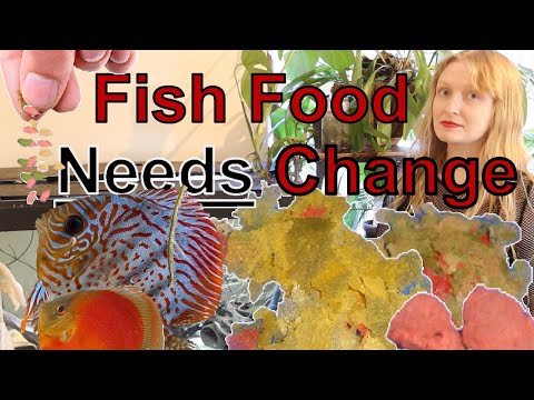 We need to change aquarium fish foods #aquarium #f Aquarium fish foods need to change, they do not reflect the diets of many aquarium fishes and can le
