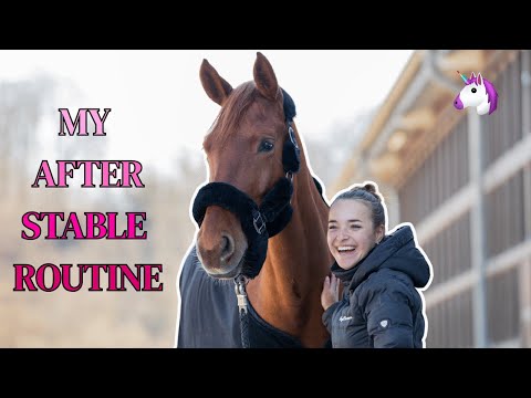 MY AFTER STABLE ROUTINE 🦄​ | Marina Schuster