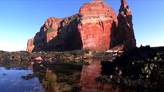 YouTube video thumbnail: Germany's Hidden Underwater Worlds - Wildlife, Rivers, and Rare Creatures