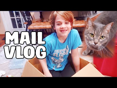 He Finally Turned Into a Cat - Mail Vlog