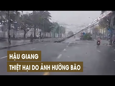 Nhà sập, cây ngã do ảnh hưởng của bão YAGI tại Hậu Giang | MIỀN TÂY HÔM NAY - SÁNG 07/9/2024