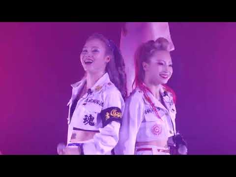 C-Style / 湾Night -結成13周年記念公演LIVE映像-