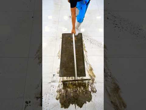 The most oddly satisfying Rug Washing  #asmr #carpetcleaning #satisfying