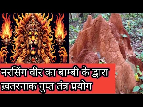 एक दिन का नर्सिंग वीर / tantra prayog // कोई भी काम तुरंत /Gramin Mantra