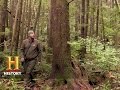 Survival Skills in Nature