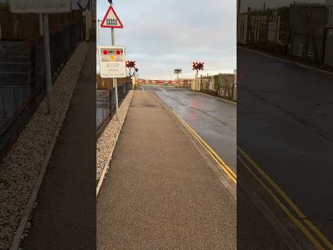 Just wanted to train #bodybuilding #nothappy #badday