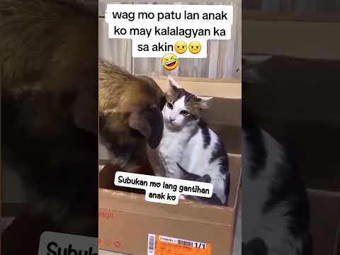 WAG MO PATULAN ANAK NI MIMING DOGIE MASASAKTAN KALANG🤣 #funnyshort #short