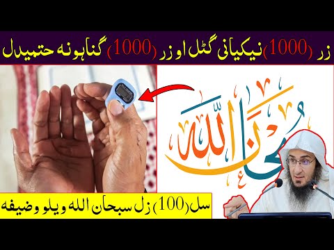 Sheikh Abo Hassan New Pashto Bayan - زر نیکیانی گٹل او زر گناہونہ حتمیدل - Da Haq Awaz