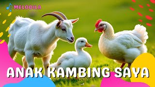 🐯 Mana Dimana Anak Kambing Saya - Lagu Anak Indonesia Anak Kecil - Lagu Populer Edukatif