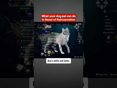 How to use Koo in Beast of Reincarnation