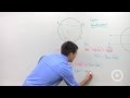 Cyclic Quadrilaterals and Parallel Lines in Circles