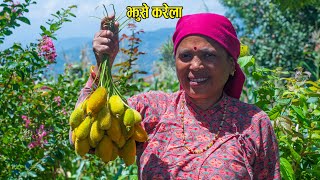चमत्कारी झुसे करेला, यसरी खाए फाईदै फाईदा || Jhuse Karela Pakaune Tarika || Kanchhikitchen