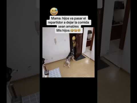 Que divertido lo que hace al final 🤣😂😅