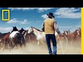 Cameron's Perspectives on Nature and Horses