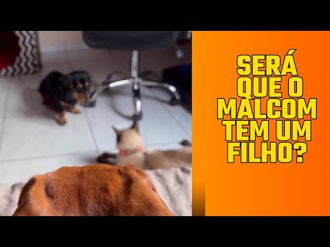 Será que o Malcom tem uma filha?