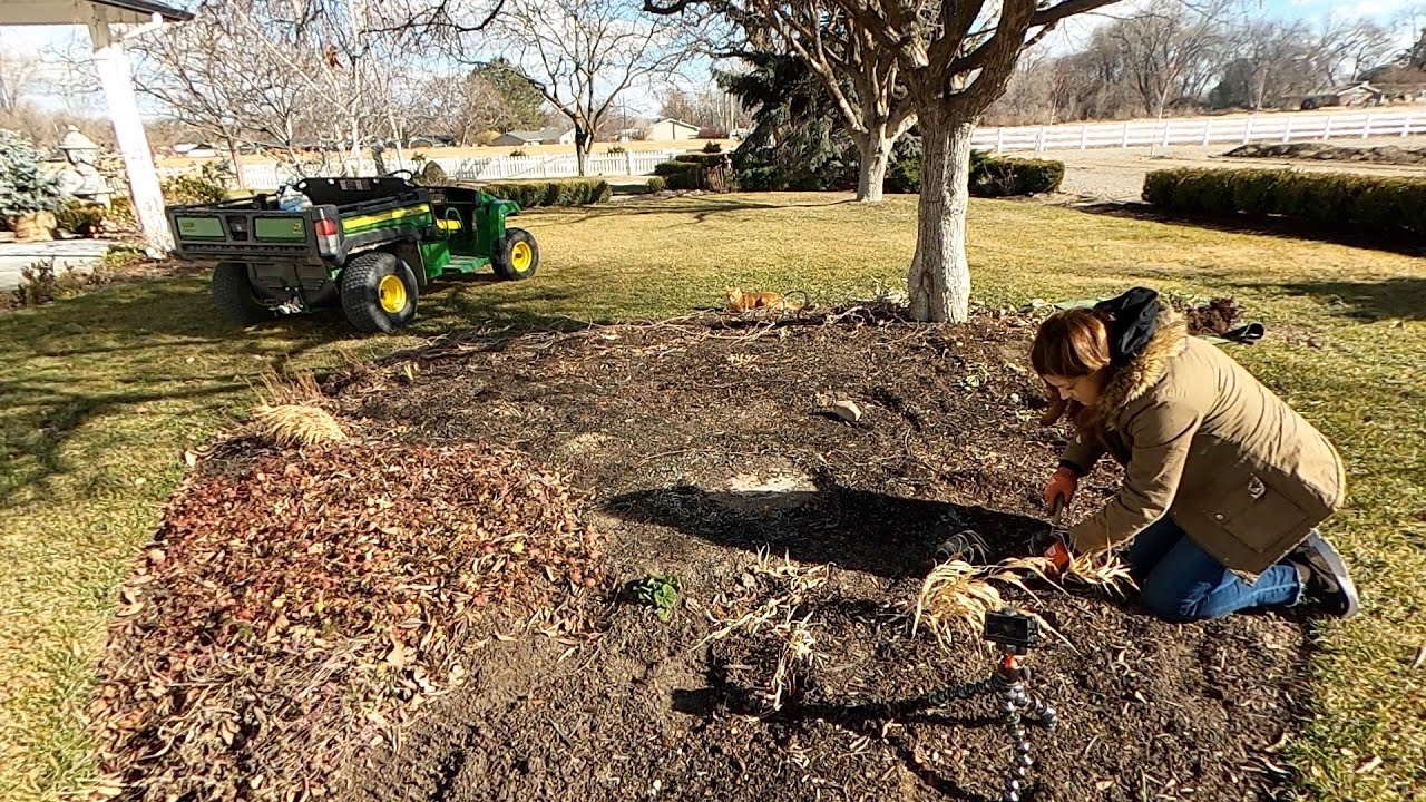 Transplanting a Few Perennials!