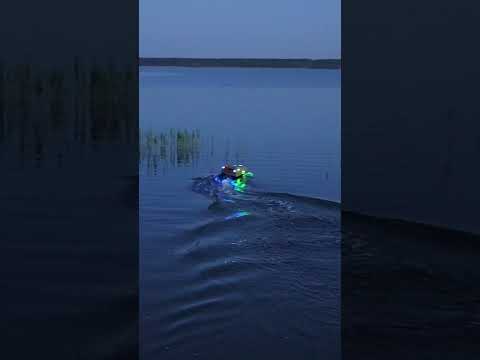 Fish Remote Control RC Bait Boat
