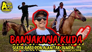 ALAM MENARI ATAS KUDA?! DAPAT MAIN HUJAN BATU!