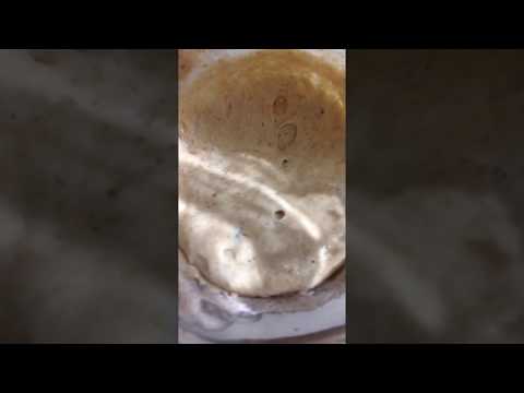 Kefir ile ekşi maya