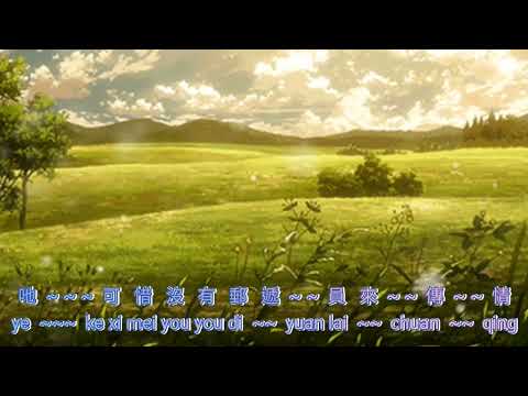 Cao Yuan Zhi Ye {草原之夜} karaoke no vocal male  男版伴奏