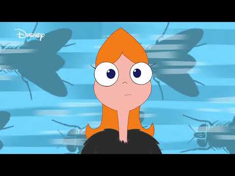 Phineas e Ferb | Uma Mosca na Parede