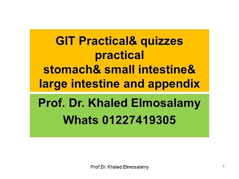 GIT practical histology  stomach& small intestine& large intestine and appendix