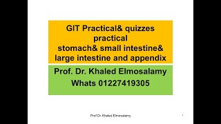 GIT practical histology  stomach& small intestine& large intestine and appendix