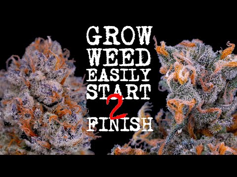 EASIEST WAY TO GROW WEED FROM START TO FINISH (FULLY EXPLAINED) ORGANIC SUPERCOCO | JUST ADD WATER!!