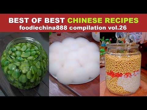 BEST OF BEST CHINESE RECIPES foodiechina888 Compilation Vol.26