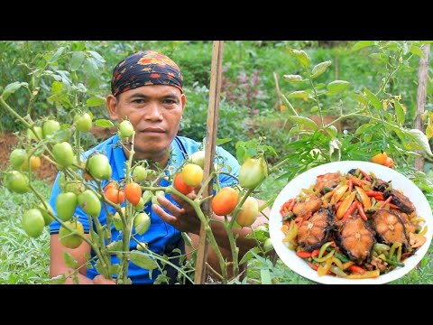 Lele dumbo masak tomat nyemek impring goreng sambal tlenjeng