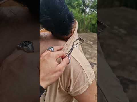 #incianto #intrattenimento #plantas #encinamentos #pets