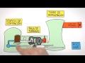 Understanding Nuclear Power Plants