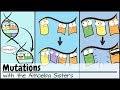 Genetic Mutations and Their Effects