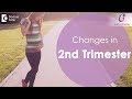 Second Trimester Pregnancy Changes