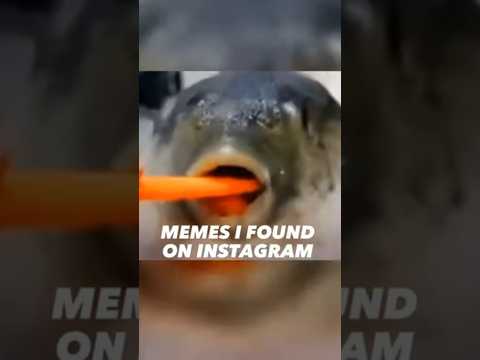 memes I found on Instagram pt - 5