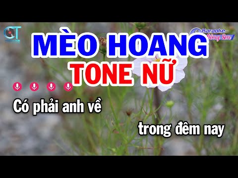 Karaoke Mèo Hoang Tone Nữ ( G#m ) Nhạc Sống Đồng Sen