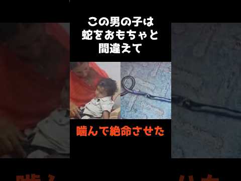 1歳児が蛇に噛まれた時の危険と安全な対応例 サムネイル