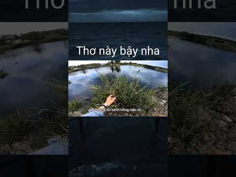 #memes #funny #shortvideo