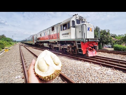 MUKBANG DURIAN DITENGAH PADATNYA PERJALANAN KERETA API.