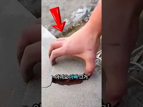 아빠가 돌을 떼자 충격적인 일이 벌어졌다 😱