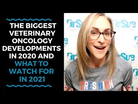 The Biggest Veterinary Oncology Developments in 2020 and What To Watch For in 2021 VLOG 127