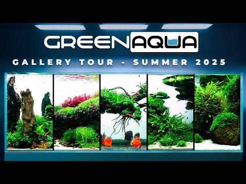 GREEN AQUA Gallery Tour 2025 Summer | Cinematic 👇👇 FOR THE BEST TOOLS AND ACCESSORIES 👇👇
GREEN AQUA SHOP_ https_//greenaqua.hu/en/

Join