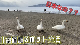 日本人が全然いない？外国人に人気な穴場スポットに行ったら想像以上にカオスだったw 【北海道一人旅】
